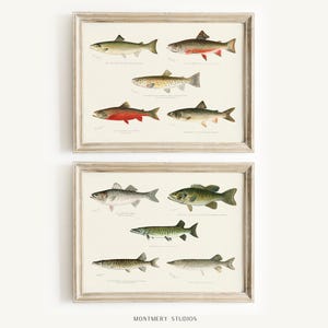 Watercolor fishing nursery art with ducks, mallard wall prints, bass and trout artwork for baby boy room, vintage-inspired fish illustrations, decorative fishing wall art for kids bedroom, playful fisherman theme decor, rustic nursery wall prints with freshwater fish, cozy boys room wall accents, charming angler artwork for children’s room, unique baby shower gift for fishing families