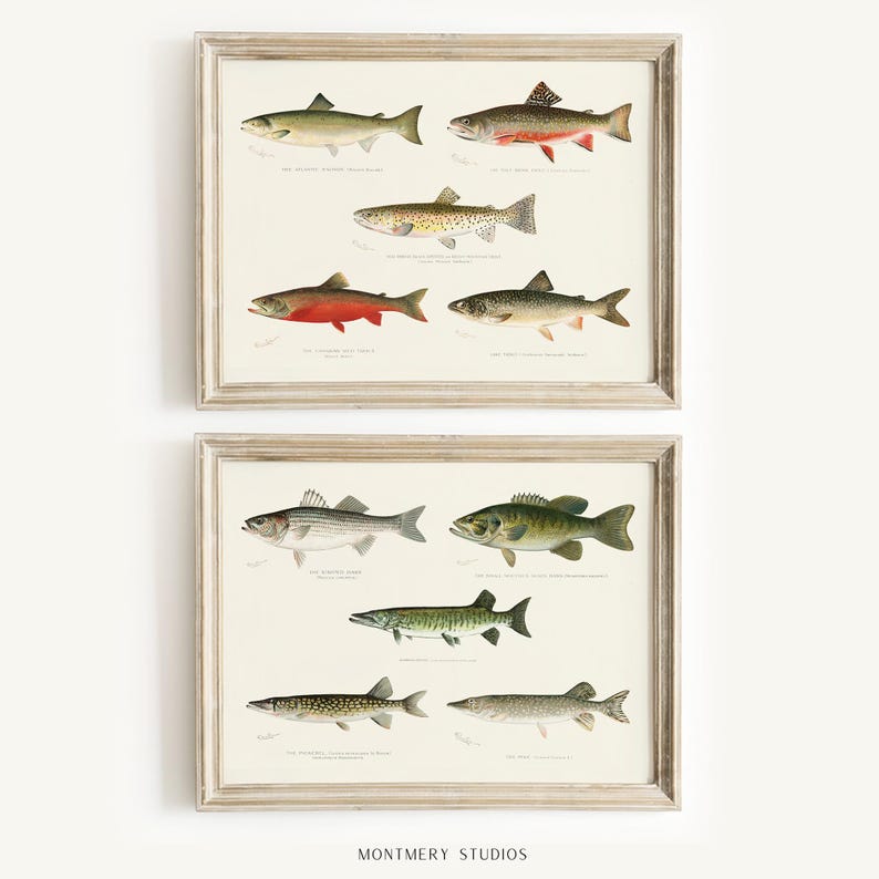 Watercolor fishing nursery art with ducks, mallard wall prints, bass and trout artwork for baby boy room, vintage-inspired fish illustrations, decorative fishing wall art for kids bedroom, playful fisherman theme decor, rustic nursery wall prints with freshwater fish, cozy boys room wall accents, charming angler artwork for children’s room, unique baby shower gift for fishing families