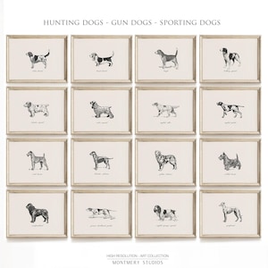 Puede incluir: Un conjunto de 12 ilustraciones en blanco y negro de diferentes razas de perros. Las ilustraciones están enmarcadas en un marco de madera claro y tienen un fondo blanco. Las razas de perros incluyen el Foxhound inglés, el Setter irlandés, el English Springer Spaniel, el Gordon Setter, el Weimaraner, el Braco Alemán de Pelo Corto, el Brittany, el Pointer inglés, el Irish Water Spaniel, el Field Spaniel, el Griffon de Pelo Duro y el Whippet.