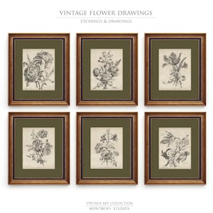 Set of six vintage flower sketches in sage green and dark green tones, featuring botanical illustrations with antique etching style. Elegant floral drawings and green botanical prints perfect for living room, bedroom, nursery, or entryway decor. This vintage floral wall art set brings timeless charm and natural beauty to any space, adding subtle color and classic design to farmhouse, cottage, or modern interiors.