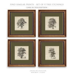 Antique tree etching, vintage forest landscape, square printable wall art with sage green mat, 19th century Dutch drawing, old oak trees by a lake, dark green nature sketch, classical tree illustration, rustic woodland decor, forest art print download, vintage-style landscape for gallery wall, Remigius Adrianus Haanen artwork, detailed tree line drawing, printable antique artwork for home decor