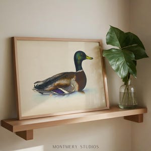 Vintage mallard duck print featuring a detailed rustic duck painting, perfect as nursery wall art or farmhouse decor. This antique duck print makes charming mallard nursery art for a boy’s bedroom, kids room animal art, or rustic nursery decor. Styled as a country animal print with soft tones, it fits perfectly in minimalist duck art displays, vintage nursery art collections, or country farmhouse interiors. Available as an instant digital download for easy printing at home.