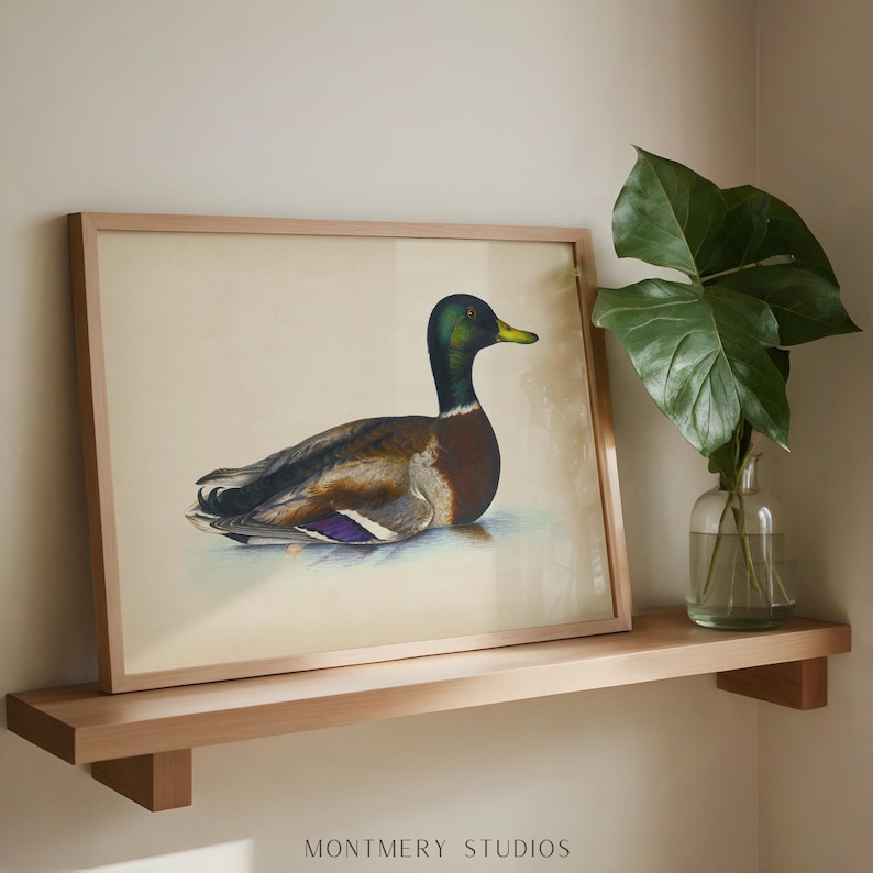 Vintage mallard duck print featuring a detailed rustic duck painting, perfect as nursery wall art or farmhouse decor. This antique duck print makes charming mallard nursery art for a boy’s bedroom, kids room animal art, or rustic nursery decor. Styled as a country animal print with soft tones, it fits perfectly in minimalist duck art displays, vintage nursery art collections, or country farmhouse interiors. Available as an instant digital download for easy printing at home.