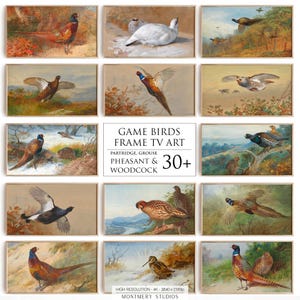 Game Birds Frame TV Art Set, 30+ Vintage Upland Hunting Birds Art, Pheasants, Grouse, Woodcock, Partridge, Classic Rustic Wildlife Decor