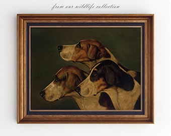 Tre engelska foxhounds lynniga hundporträtt, vintagehundtryck, utskrivbar väggkonst för jakthund, stugdekor, konstverk för man cave, AN79