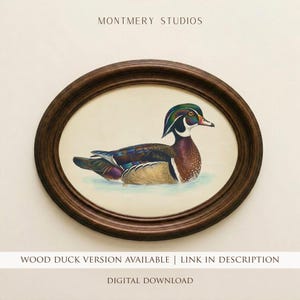Vintage Mallard Duck Print, Mallard Nursery Wall Art, Rustic Duck Painting, Country Farmhouse Art, Antique Duck Print Digital Download AN117 image 3