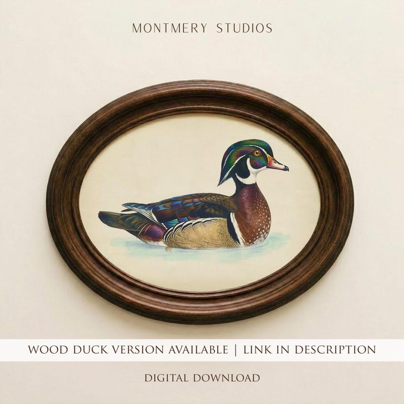Vintage Mallard Duck Print, Mallard Nursery Wall Art, Rustic Duck Painting, Country Farmhouse Art, Antique Duck Print Digital Download AN117 image 3