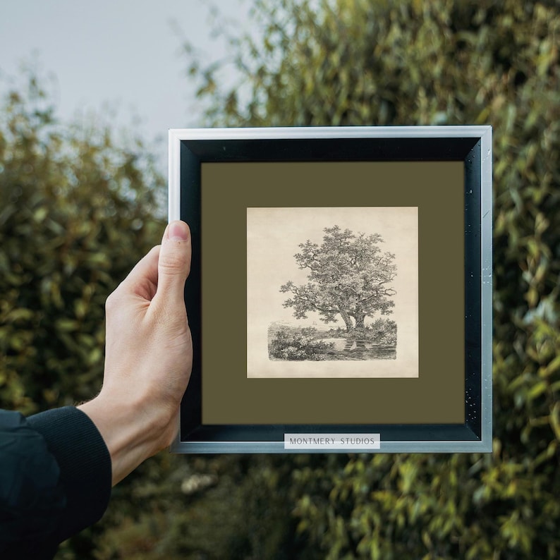 Antique tree etching, vintage forest landscape, square printable wall art with sage green mat, 19th century Dutch drawing, old oak trees by a lake, dark green nature sketch, classical tree illustration, rustic woodland decor, forest art print download, vintage-style landscape for gallery wall, Remigius Adrianus Haanen artwork, detailed tree line drawing, printable antique artwork for home decor