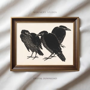 Peut inclure: Une impression encadrée présentant une illustration en noir et blanc de quatre corbeaux. L'œuvre d'art a une esthétique vintage, avec les oiseaux représentés dans un style détaillé et texturé. Le cadre est de couleur marron foncé et chaleureux. Le texte "MONTEMERY STUDIOS" et "DIGITAL DOWNLOAD" sont visibles.