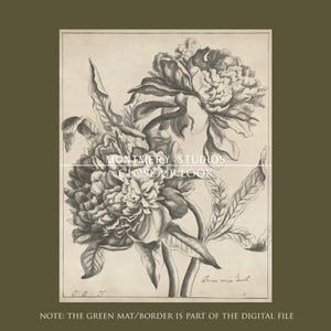 Set of two vintage-inspired flower sketches in soft sage and deep green tones, perfect for wall decor. Delicate botanical drawings with antique etching style, ideal for living room, baby nursery room, kids room, bedroom, or entryway. Classic floral artwork with hand-drawn details, dark green botanical prints for a timeless and elegant home aesthetic. Vintage wall art set, perfect for adding subtle color and natural beauty to any space.