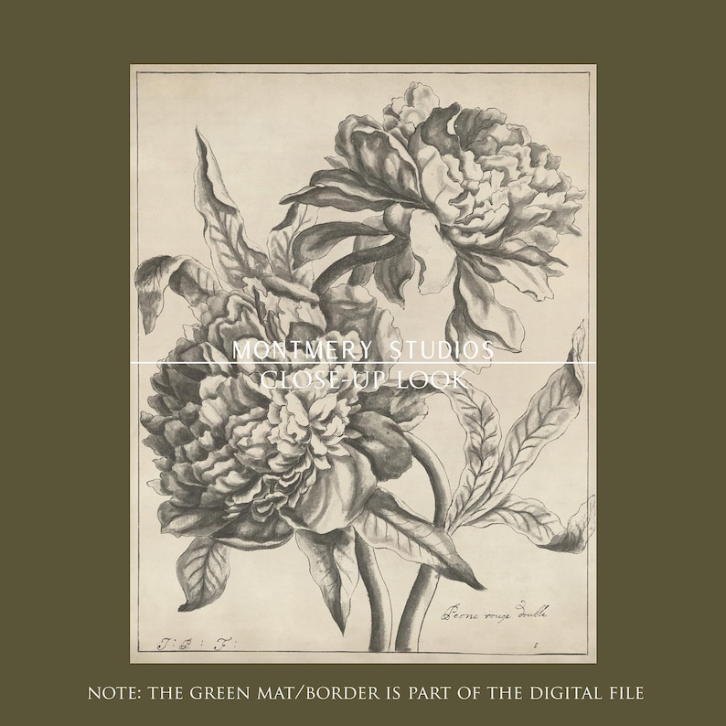 Set of two vintage-inspired flower sketches in soft sage and deep green tones, perfect for wall decor. Delicate botanical drawings with antique etching style, ideal for living room, baby nursery room, kids room, bedroom, or entryway. Classic floral artwork with hand-drawn details, dark green botanical prints for a timeless and elegant home aesthetic. Vintage wall art set, perfect for adding subtle color and natural beauty to any space.