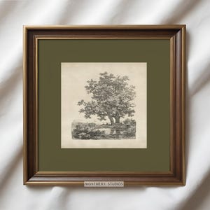 Vintage Oak Tree Etching, Square Printable with Sage Green Mat, Antique Forest Drawing Print, Landscape Sketch, Dark Green Wall Art, A4