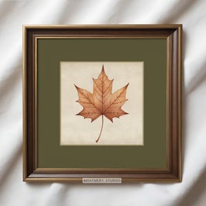 May include: A framed watercolor print of a maple leaf in shades of brown and tan. The leaf is centered on a cream-colored background, set within a green mat and a bronze-colored frame. The text "MONTMERY STUDIOS" is at the bottom.