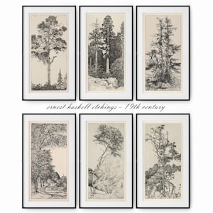 May include: Six black framed prints of black and white etchings of trees. The prints are arranged in two rows of three. The title "ernest haskell etchings - 19th century" is printed below the top row of prints.