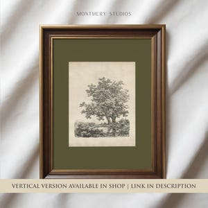 Antique tree etching, vintage forest landscape, square printable wall art with sage green mat, 19th century Dutch drawing, old oak trees by a lake, dark green nature sketch, classical tree illustration, rustic woodland decor, forest art print download, vintage-style landscape for gallery wall, Remigius Adrianus Haanen artwork, detailed tree line drawing, printable antique artwork for home decor