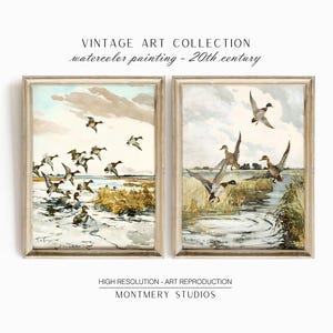 Set of 2 vintage duck prints, mallard and redhead ducks in a classic painting style, rustic farmhouse wall decor, wildlife artwork, nature prints, antique duck art, prints for vintage gallery walls, country home style, gift for wildlife nature lovers