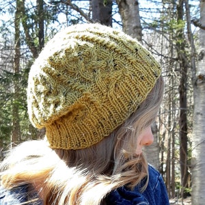 Knitting Pattern Celtic Cable Beanie, Instant Download PDF Instructions for Knit Hat, 3 Sizes fit Toddler, Children, Adult image 1