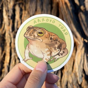 May include: A round sticker featuring an illustration of an Arroyo Toad. The toad is brown with dark spots and a yellow eye, set against a light green background. The words "Arroyo Toad" are printed in green around the edge.