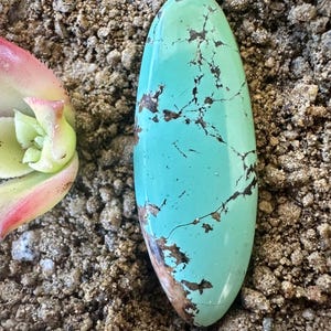 Turquoise Cabochon