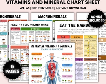 Vitamins and Mineral Chart Sheet, Nutrition Facts Food List, Essential Micronutrients Chart, Healthy Protein Poster, Fitness Meal Tracker