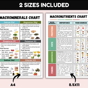 Nutrients Food Chart Bundle, Ultimate Nutrition Bundle, Vitamins Minerals Proteins Chart, Healthy Food Poster, Natural Healthy Food List image 3