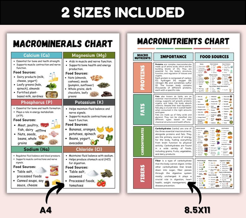 Nutrients Food Chart Bundle, Ultimate Nutrition Bundle, Vitamins Minerals Proteins Chart, Healthy Food Poster, Natural Healthy Food List image 3