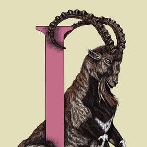 I é para Ibex Impressão artística Giclée, série de alfabeto de animais raros e ameaçados de extinção