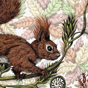 Tassel-Eared Squirrel, Abert&#39;s Squirrel Art Nouveau Inspired Fine Art Giclee Print