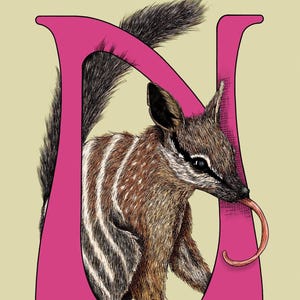 N es para Numbat, impresión artística Giclée, serie del alfabeto de animales en peligro de extinción y raros