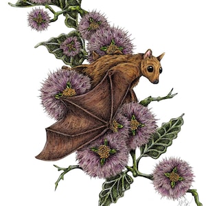Fruit Bat with Botanicals Giclee Fine Art Print