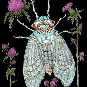 Art Nouveau Style Cicada with Thistles Giclee Fine Art Print