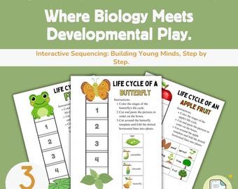 Life Cycle Sequencing Worksheets | Frog, Butterfly, Apple Craft (PDF Download)