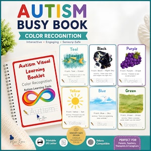 Autism Color Activities Workbook, Color Recognition Printable PDF, Visual Learning