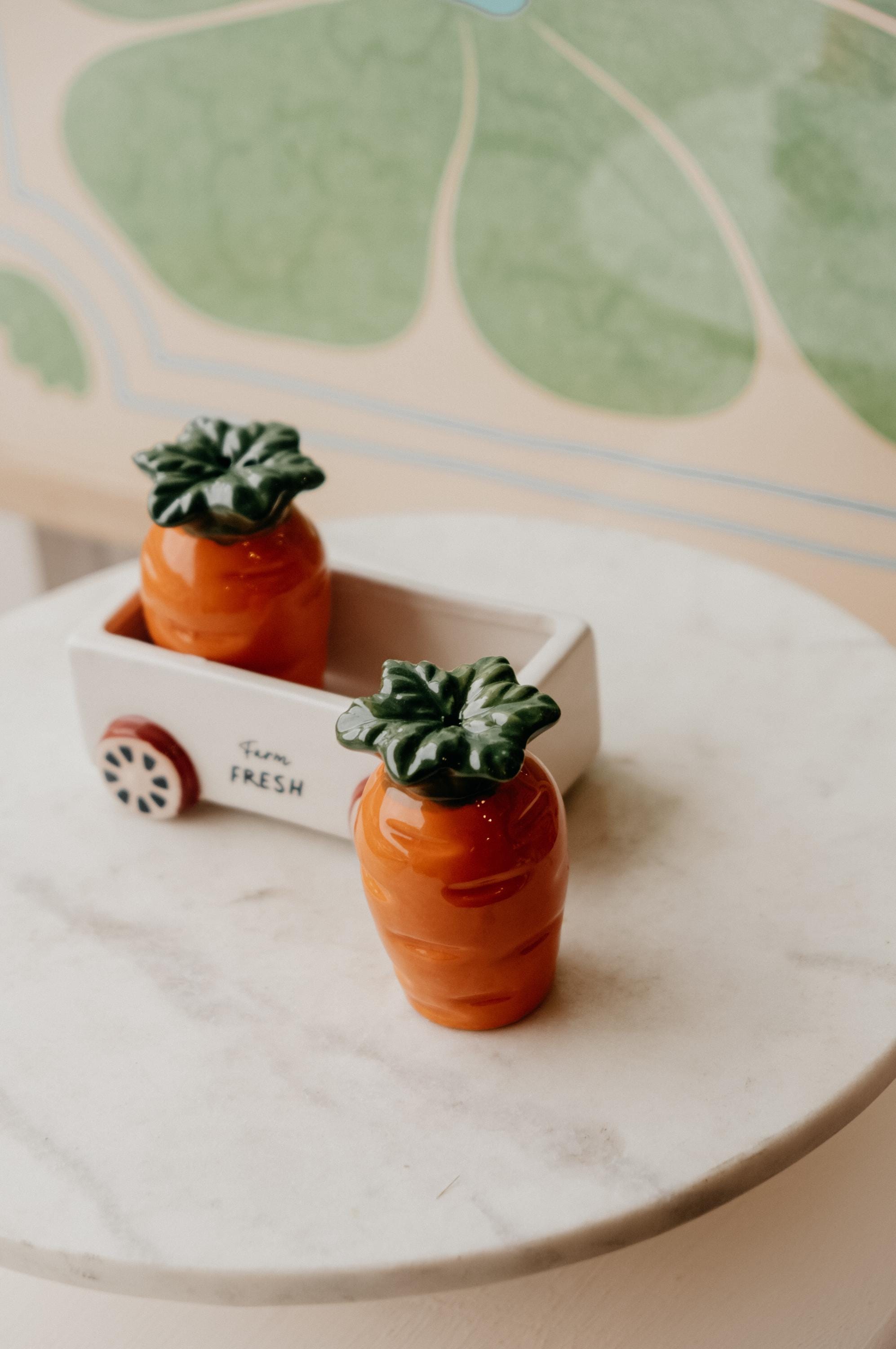 フェアリー36.46　2個セット Carrot Salt and Pepper Shakers | Cottagecore Easter Aesthetic
