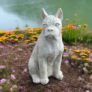 Detailed boxer dog statue Concrete boxer figurine Pet memorial decor Stone boxer dog Pet outdoor decoration Boxer dog ornament