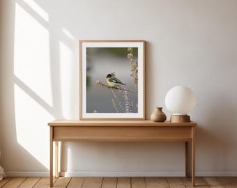 Nature Photography Wall Art Canvas Print