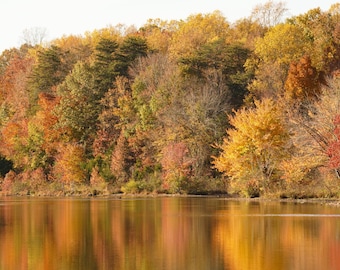 JackalopeArtisansCo, Minimalist Nature Photography, Digital Download, Printable Wall Art, Autumn Trees, Fall, Lake