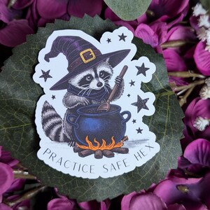 Puede incluir: Una pegatina blanca con un mapache de dibujos animados que lleva un sombrero de bruja y remueve un caldero. El mapache está rodeado de estrellas y el texto "Practice Safe Hex".