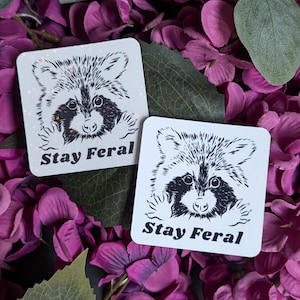 Stay Feral Sticker | Raccoon Vinyl Sticker | Sarcastic Sticker | Vinyl Waterproof for Laptop, Water Bottle, Notebook, Kindle
