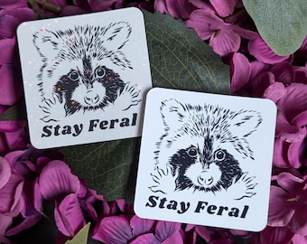 Stay Feral Sticker | Raccoon Vinyl Sticker | Sarcastic Sticker | Vinyl Waterproof for Laptop, Water Bottle, Notebook, Kindle