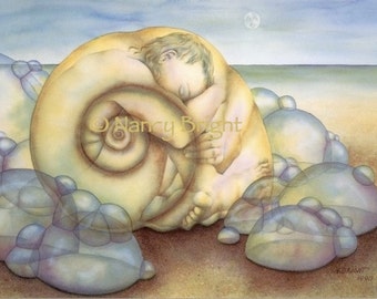 Nautilus Shell Print - Signed Fine Art (11x14)