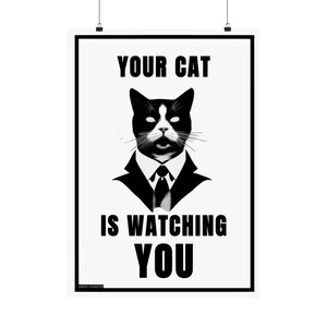 Your Cat is Watching YOU