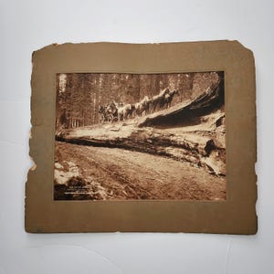 May include: A black and white photograph of a horse-drawn wagon traveling through a forest. The wagon is pulling a large log, and the horses are walking on a dirt road. The text "The Fallen Monarch" and "Southern Pacific Company" is visible at the bottom of the image.
