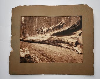 Photos, RPPC Postcards