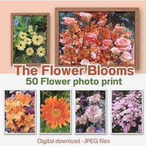 50 Flower Photography Prints: Floral Wall Art (Digital Download)