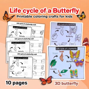 Butterfly Life Cycle Craft: 3D Cut & Paste Worksheet (Digital Download)