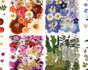 110+ PCS Pressed Flowers & Leaves – Real Dried Flowers for Resin Art, Jewelry Making, Candle Making, Soap Making, Scrapbooking and DIY Craft