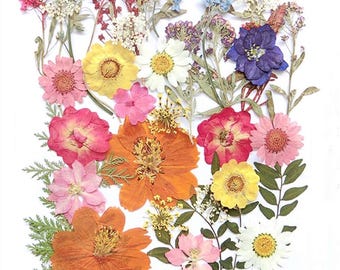 48PCS Real Dried Pressed Flowers & Leaves – 17 Types for Resin Jewelry, Candle Making, Soap Making and DIY Crafts