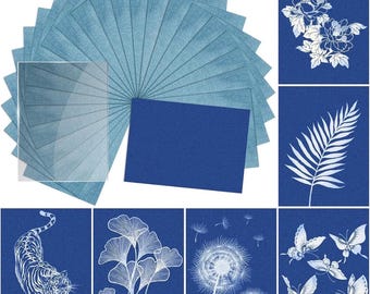 24 Sheets Cyanotype Sun Print Paper Kit with Acrylic Panel – DIY Botanical Sun Print Set for Nature Art, Photography Crafts & Summer Crafts