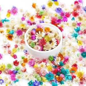 May include: A white ceramic bowl filled with a variety of colorful dried flowers, surrounded by scattered blooms. The flowers are in shades of pink, yellow, orange, blue, and white, creating a vibrant and natural display. Ideal for crafts or decor.